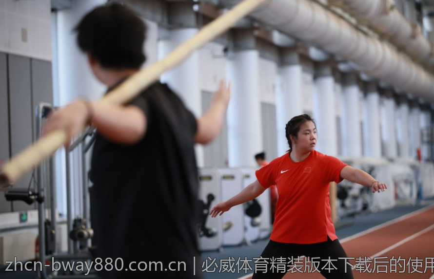 必威体育官网的全面解析与使用指南