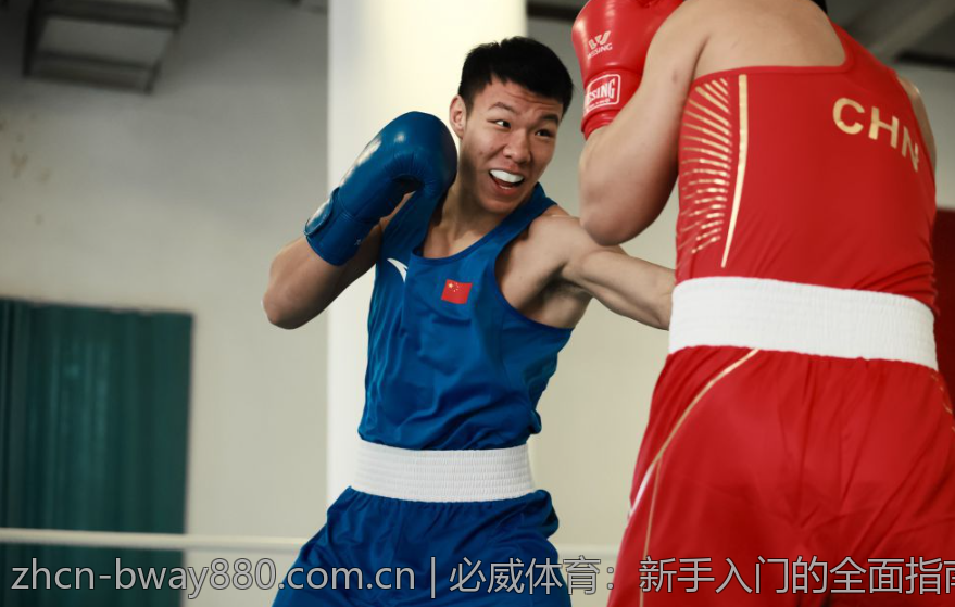 必威体育：新手入门的全面指南与建议